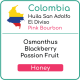 Colombia Huila San Adolfo El Diviso Pink Bourbon Honey