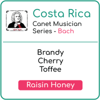 Costa Rica Canet Musician Series - Bach
