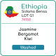 Ethiopia Sidamo Bensa LOT G1