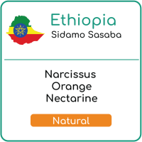 Ethiopia Sidamo Sasaba Natural (500g or above)