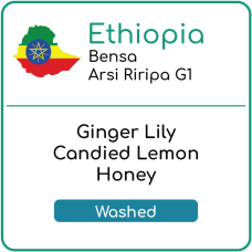 Ethiopia Bensa Arsi Riripa G1