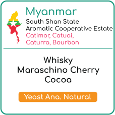 Myanmar South Shan State Aromatic Cooperative Estate Yeast Anaerobic Natural