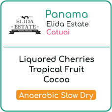 Panama Elida Estate Catuai Anaerobic Slow Dry