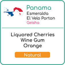 Panama Esmeralda Geisha Natural